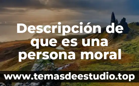 Qué es misión visión valores producto descripción 3 Descripción de que es una persona moral
