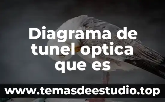 Para que es el diagrama foda 6 Diagrama de tunel optica que es