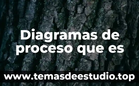 Qué es un proceso en física 8 Diagramas de proceso que es
