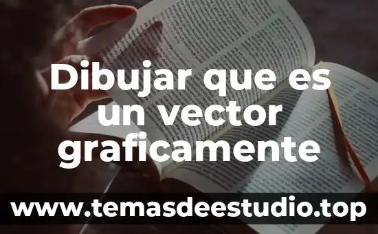 Qué es prefijos de etimología dibujos para dibujar 8 Dibujar que es un vector graficamente