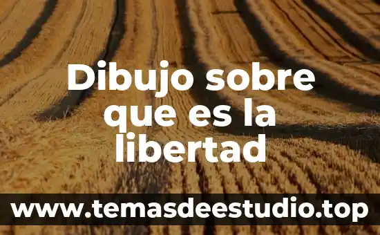 Dibujo que es cultura 7 Dibujo sobre que es la libertad