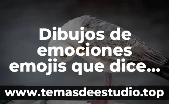 Que es la expresion de emociones en la literatura 6 Dibujos de emociones emojis que dice que es cada uno