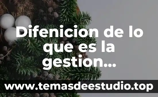 Difenicion de lo que es la gestion empresarial