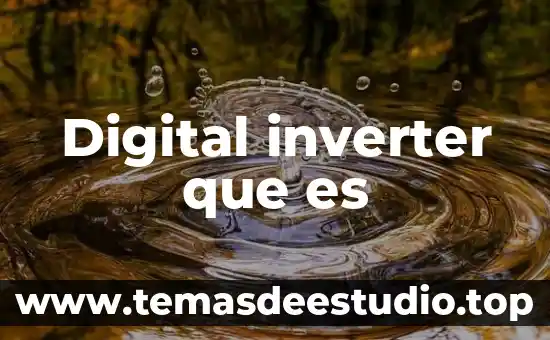 Qué es consultor digital 3 Digital inverter que es