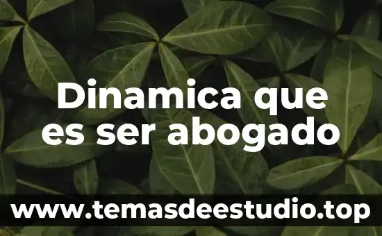 Dinamica que es ser abogado