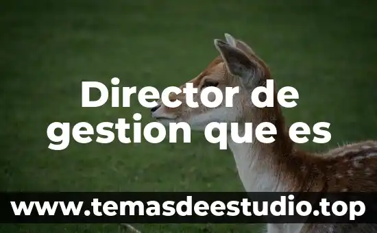 Por que es importante tener habilidades para ser director 3 Director de gestion que es