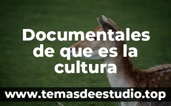 Que es la cultura como ambiente 6 Documentales de que es la cultura