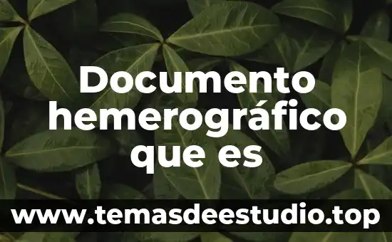 Que es un documento de identidad de irene diaz 6 Documento hemerográfico que es