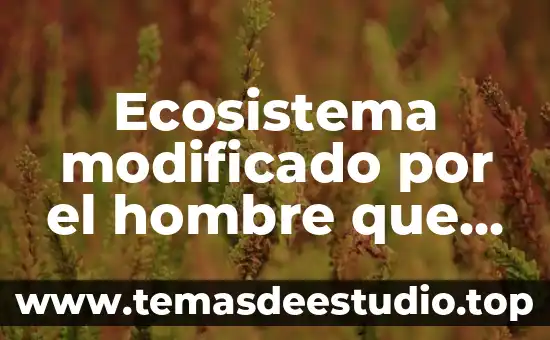 Qué es un asistente de arte 8 Ecosistema modificado por el hombre que es