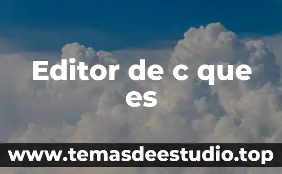 Editor de c que es