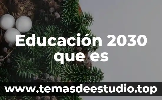 Educación 2030 que es