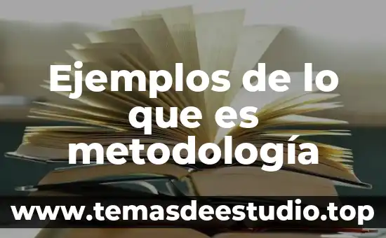 Qué es la sociedad en el registro mercantil 4 Ejemplos de lo que es metodología