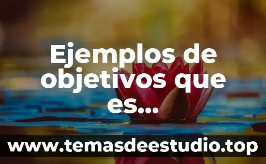 Ejemplos de objetivos que es antijuridicidad