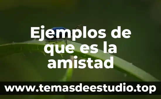 Arte de la amistad que es 5 Ejemplos de que es la amistad