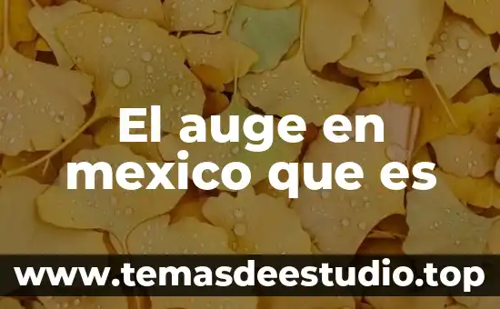 Que es patrimonio de la humanidad en mexico 5 El auge en mexico que es