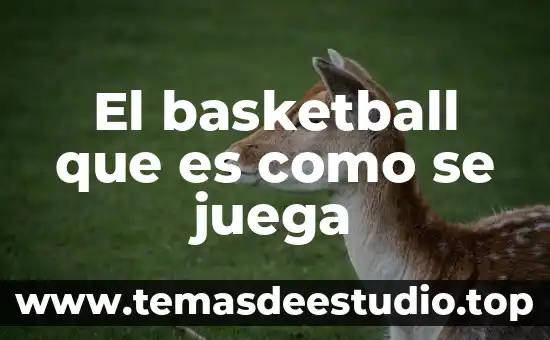 Que es la indiaca y como de juega 3 El basketball que es como se juega