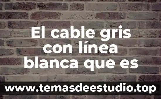 Que es mejor refrigeradores color negro o gris 8 El cable gris con línea blanca que es