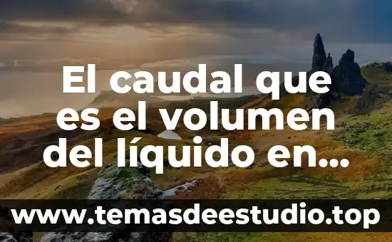 Qué es el mitocondria de la célula animal función 6 El caudal que es el volumen del líquido en célula