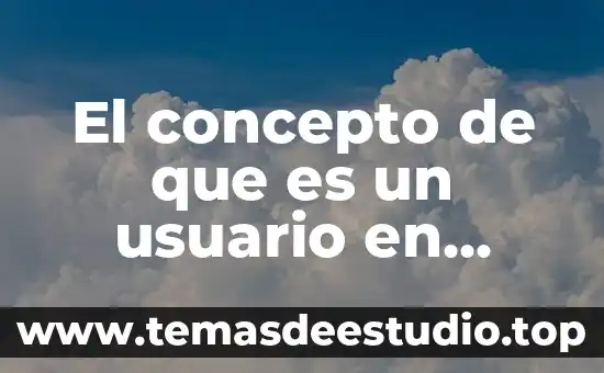 El concepto de que es un usuario en contabilidad