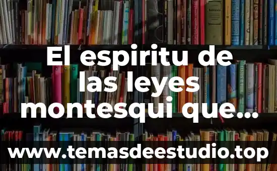 El espiritu de las leyes montesqui que es