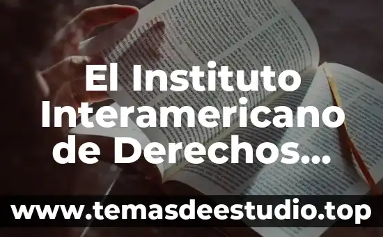 El Instituto Interamericano de Derechos Humanos
