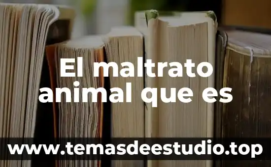 Que es el maltrato intrafamiliar yahoo 3 El maltrato animal que es