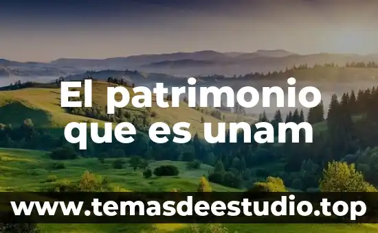 Que es pornografia unam 6 El patrimonio que es unam