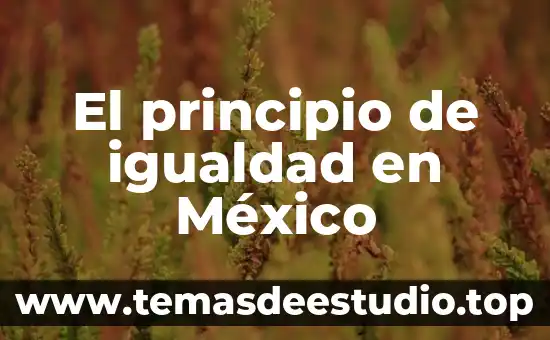 El principio de igualdad en México