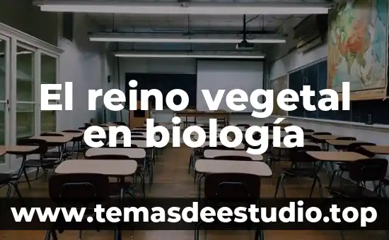 Que es el reino animal protista 8 El reino vegetal en biología