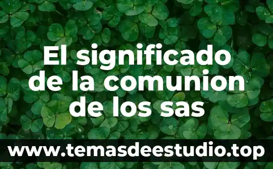 Qué es la primera comunion en la biblia 4 El significado de la comunion de los sas