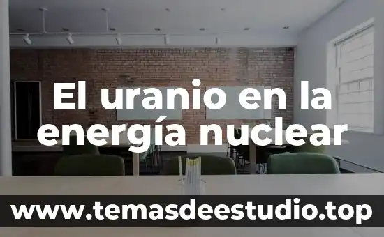 Que es una planta de energia sola 8 El uranio en la energía nuclear