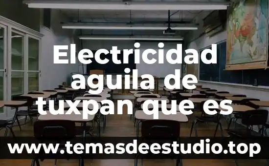 Electricidad aguila de tuxpan que es