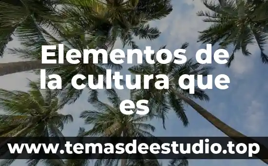 Qué es la sociedad del conocimiento y de la información 3 Elementos de la cultura que es