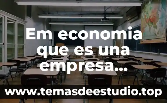Em economia que es una empresa clasica