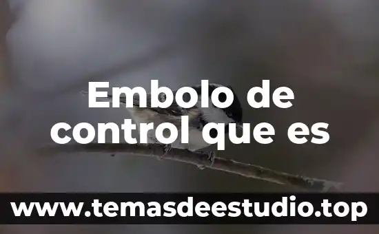 Qué es signo de control en expresión oral 5 Embolo de control que es