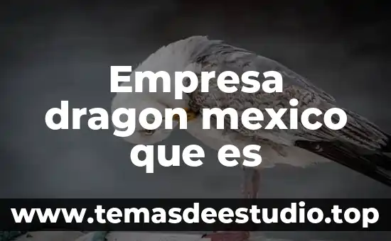 Que es una empresa e importancia 7 Empresa dragon mexico que es