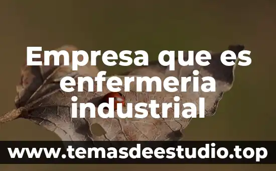 Que es una empresa e importancia 3 Empresa que es enfermeria industrial