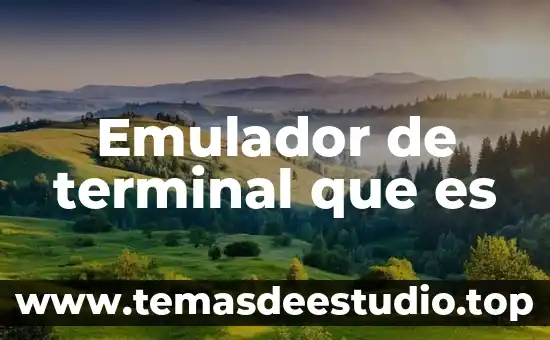 Qué es un símbolo terminal y no terminal 5 Emulador de terminal que es