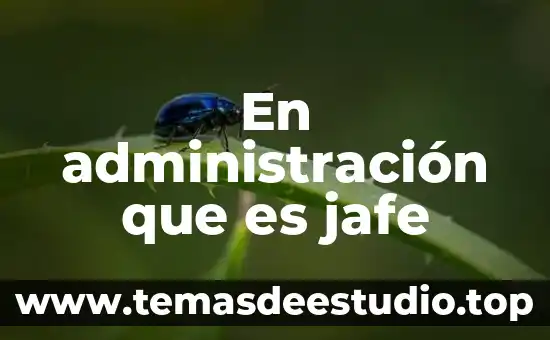 Que es canalizar en administracion 3 En administración que es jafe
