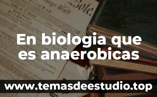 En biologia que es anaerobicas
