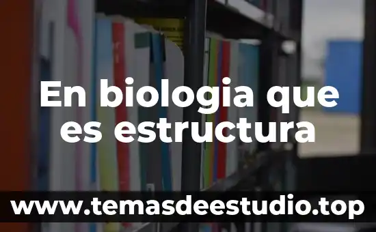 Que es division animal en biologia 4 En biologia que es estructura