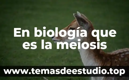 Que es la biologia libros 8 En biología que es la meiosis