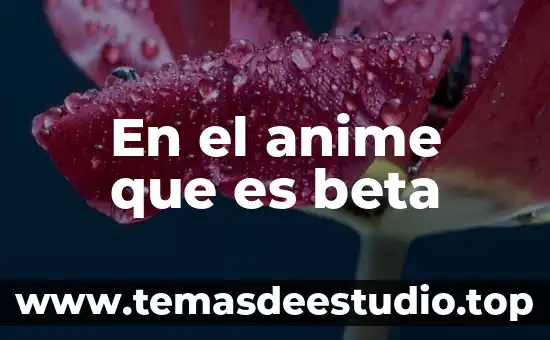 Número de pedimento que es 8 En el anime que es beta