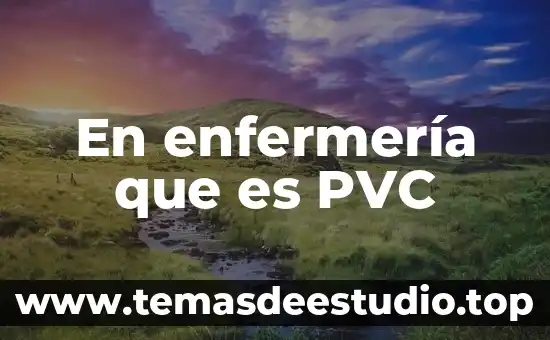 Que es la historia de enfermeria anamnesis 7 En enfermería que es PVC