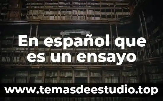 Que es la tesis en un ensayo 8 En español que es un ensayo