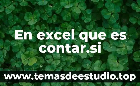 En excel que es contar.si