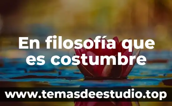 Que es costumbre familiar 5 En filosofía que es costumbre