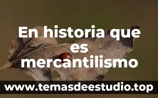 Que es la historia y quien la descubrio 6 En historia que es mercantilismo
