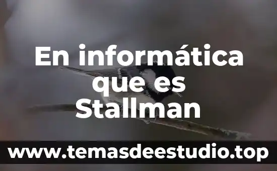 Que es las teorias del patrimonio 3 En informática que es Stallman