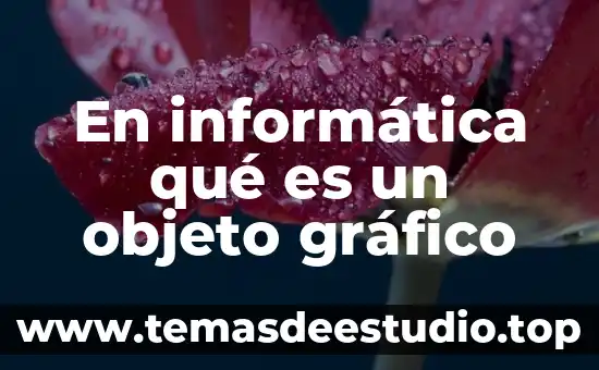 Que es un objeto en silosodia 4 En informática qué es un objeto gráfico